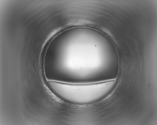 X0000061101122200511180901
