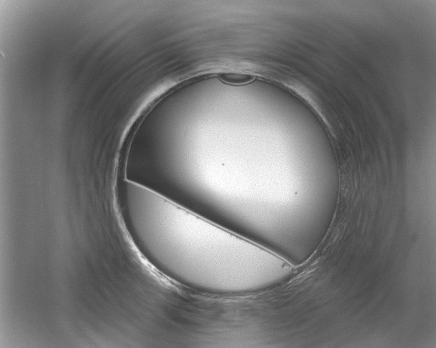 X0000061101139200511180901