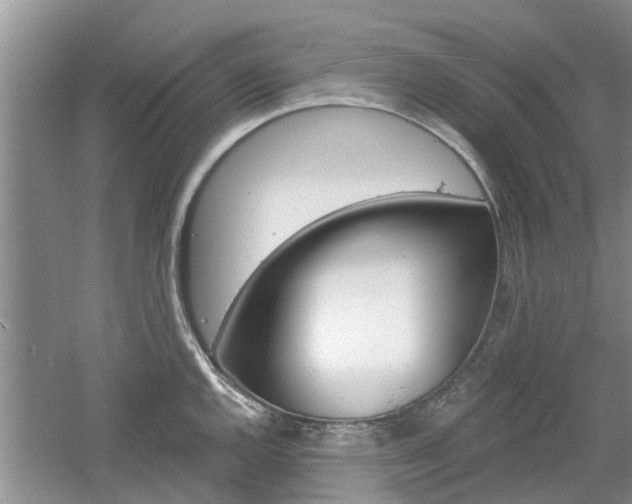 X0000061101144200511180901