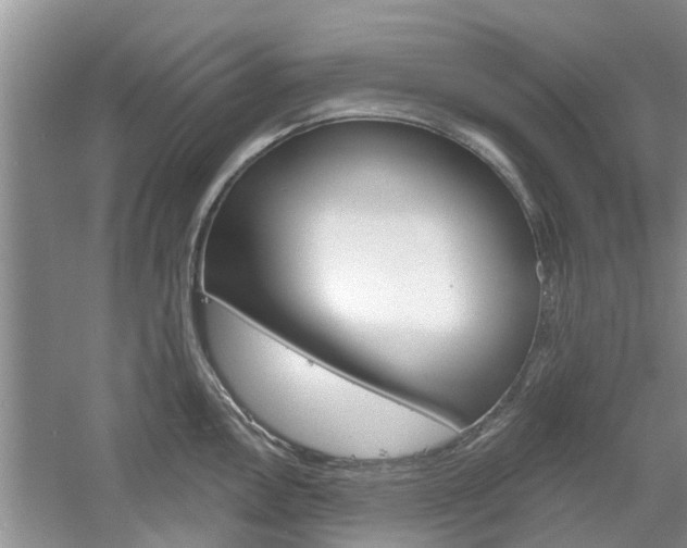 X0000061101146200511180901