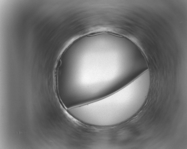 X0000061101151200511180901