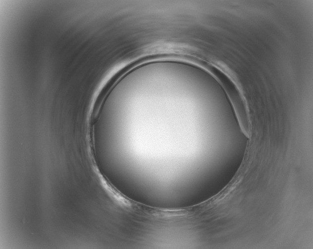 X0000061101152200511180901