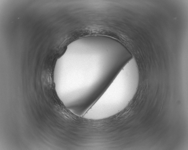 X0000061101155200511180900