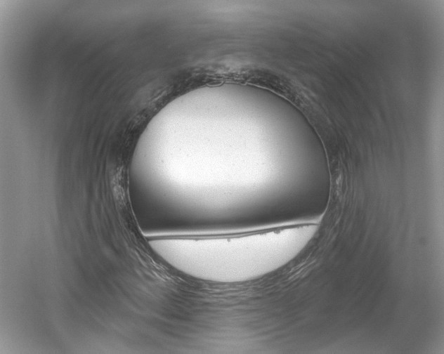 X0000061101156200511180900