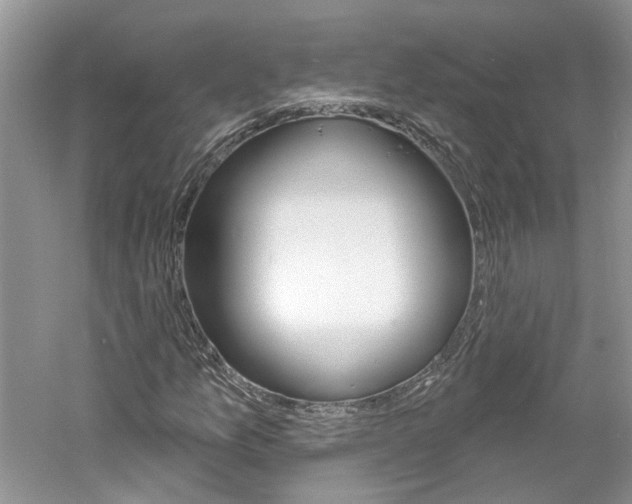 X0000061101157200511180900