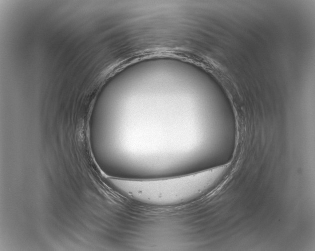 X0000061101161200511180900