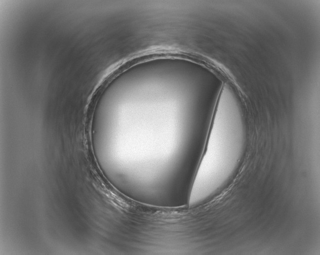 X0000061101168200511180900