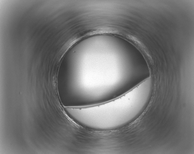 X0000061101185200511180900