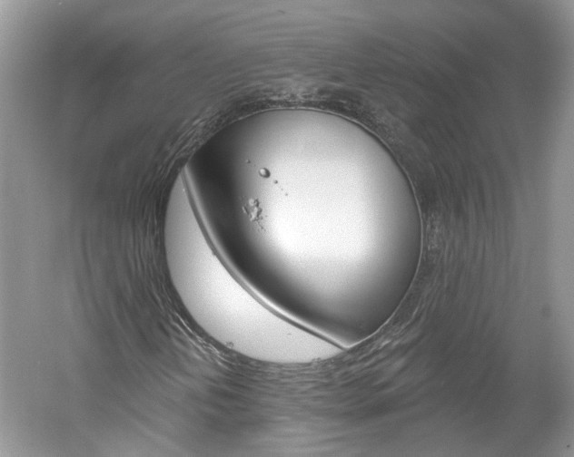 X0000061101202200511180859