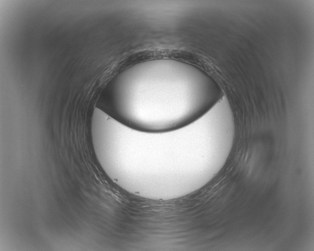 X0000061101204200511180859