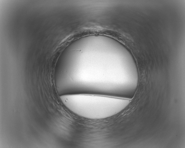 X0000061101205200511180859