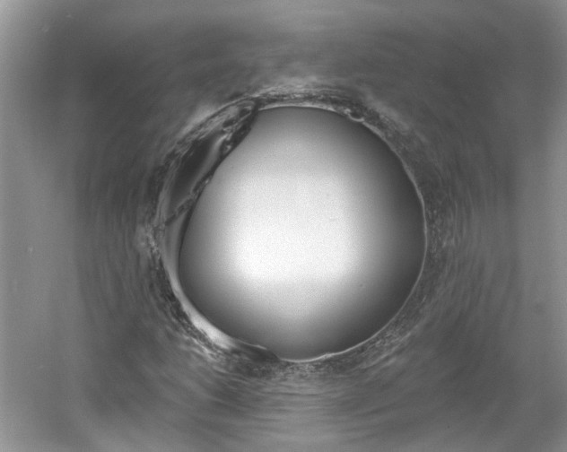 X0000061101206200511180859