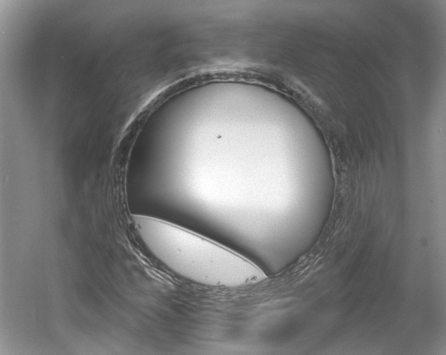 X0000061101208200511180859