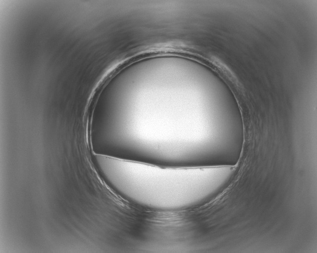 X0000061101224200511180859