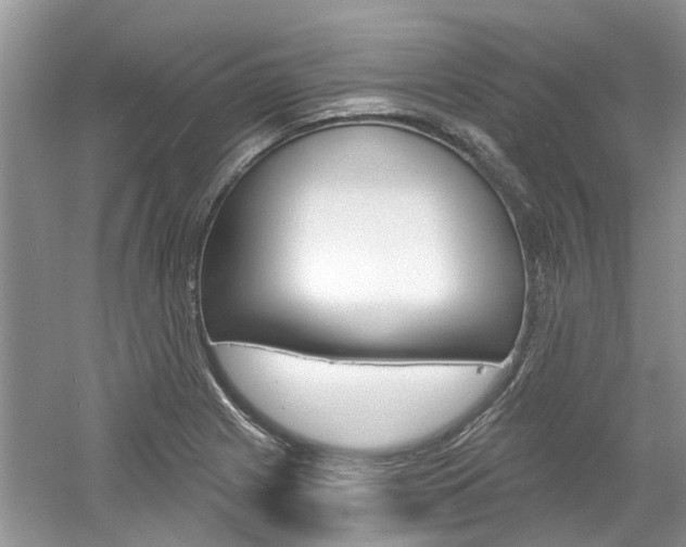X0000061101225200511180859