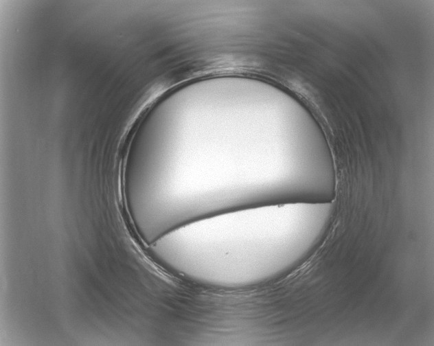 X0000061101227200511180859