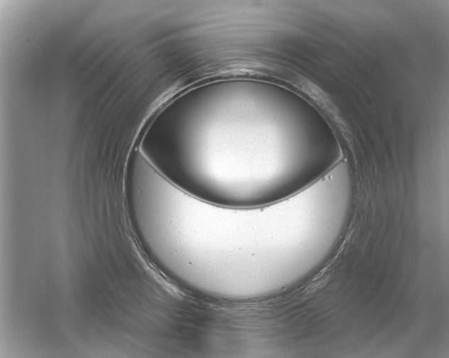 X0000061101234200511180859