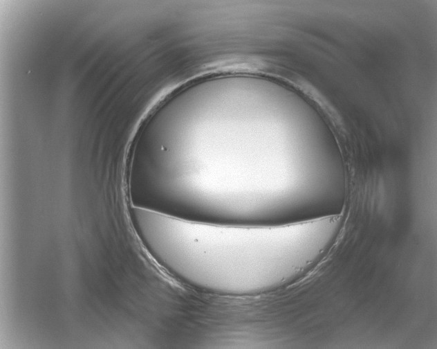 X0000061101240200511180859