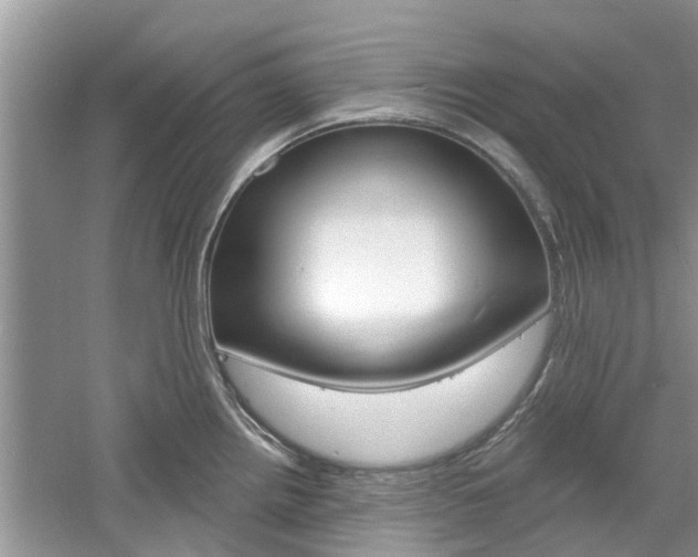 X0000061101242200511180859