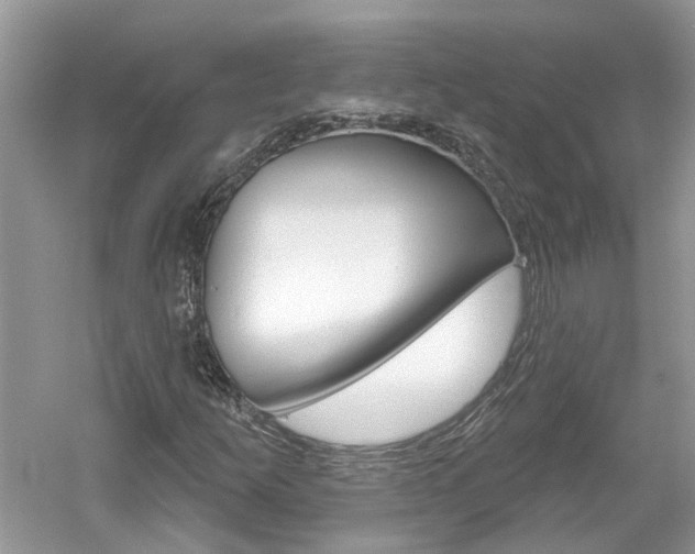 X0000061101253200511180859