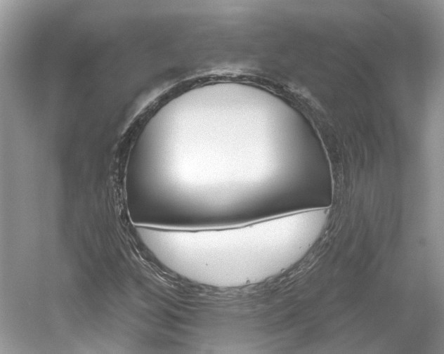 X0000061101256200511180859