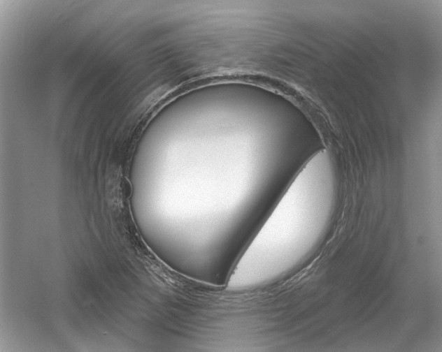 X0000061101265200511180858