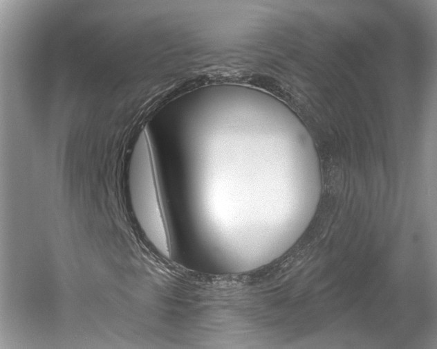 X0000061101297200511180857
