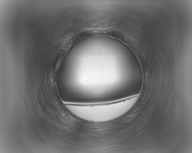 X0000061101300200511180857