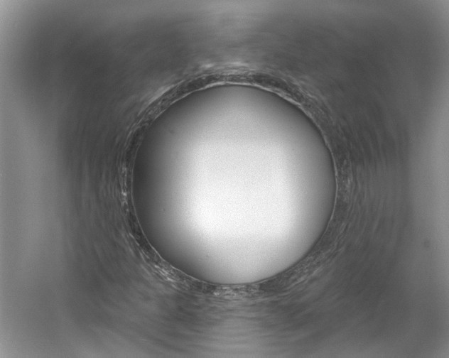 X0000061101301200511180857