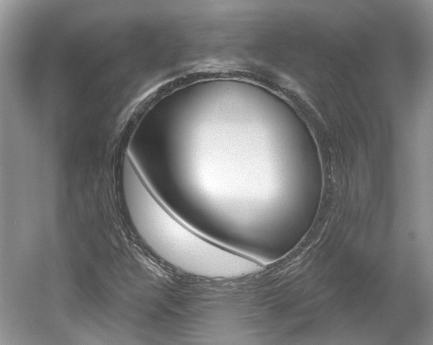 X0000061101304200511180857