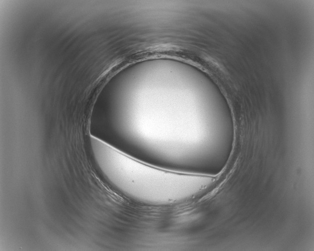 X0000061101305200511180857