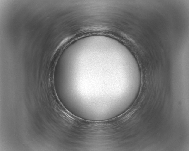X0000061101306200511180857