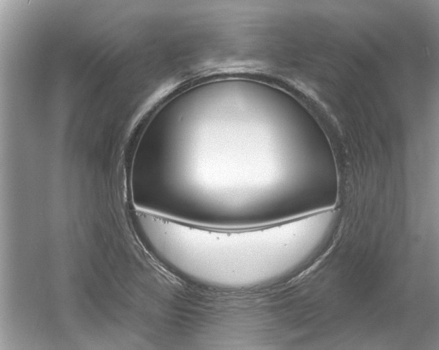 X0000061101317200511180857