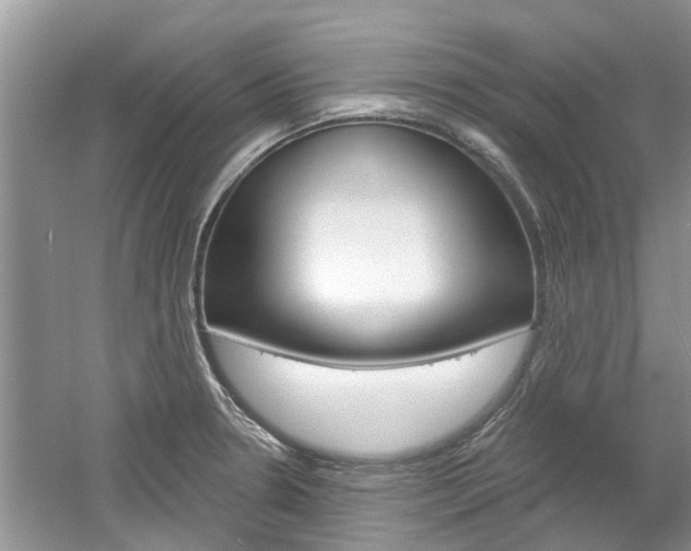X0000061101330200511180858