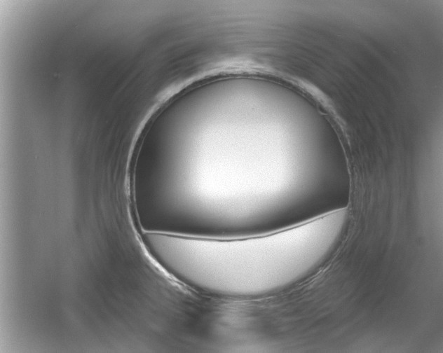 X0000061101335200511180858