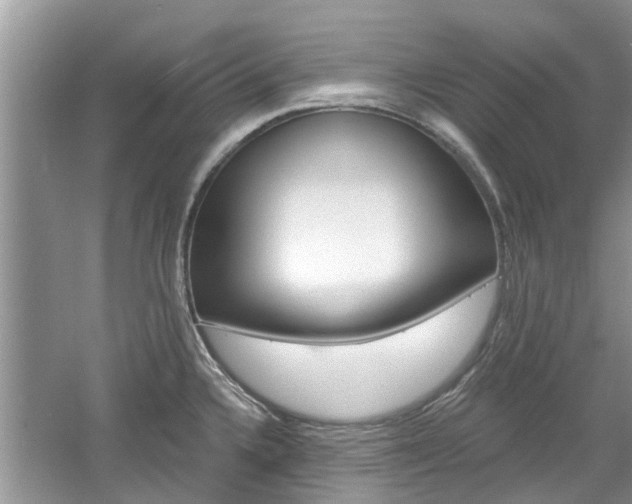 X0000061101336200511180858