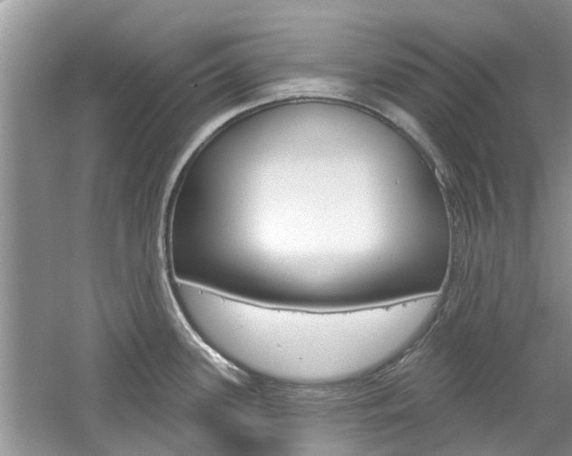 X0000061101339200511180858