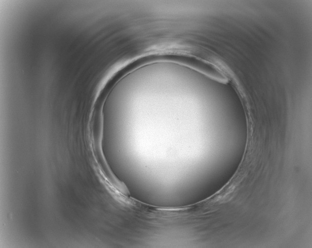 X0000061101344200511180858
