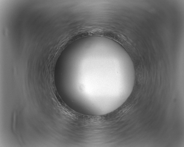 X0000061101345200511180857