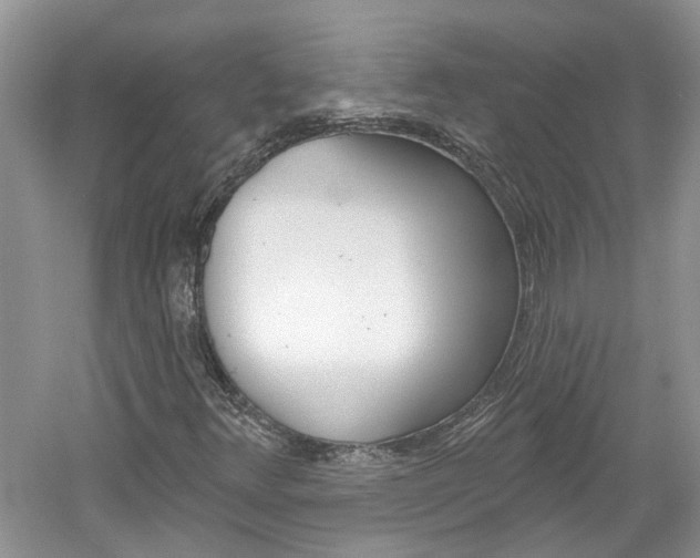 X0000061101348200511180857