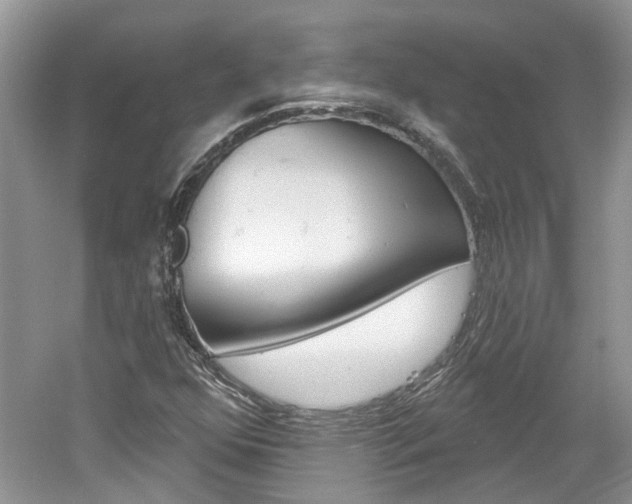 X0000061101352200511180857