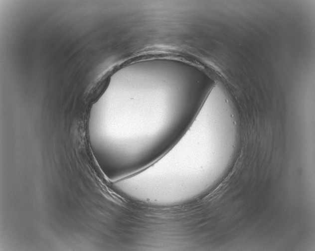 X0000061101355200511180857