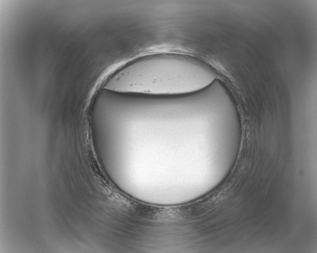 X0000061101358200511180857
