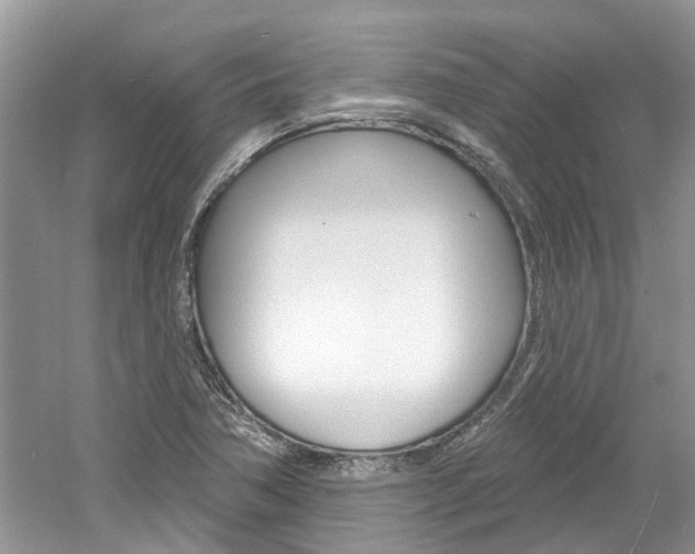 X0000061101362200511180857