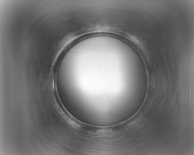 X0000061101368200511180857
