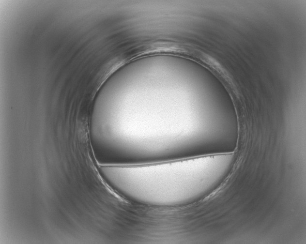 X0000061101377200511180856