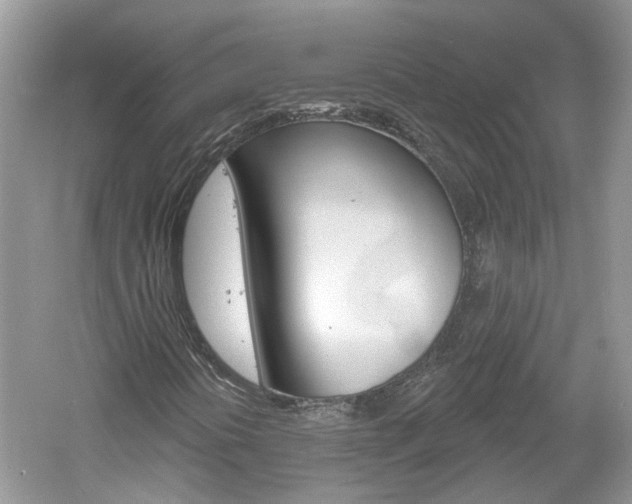 X0000061101394200511180855