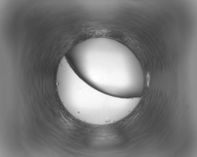 X0000061101395200511180855