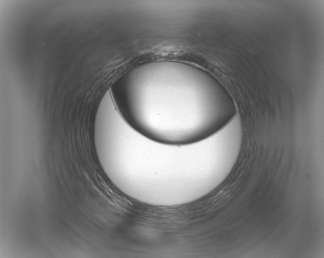X0000061101396200511180855