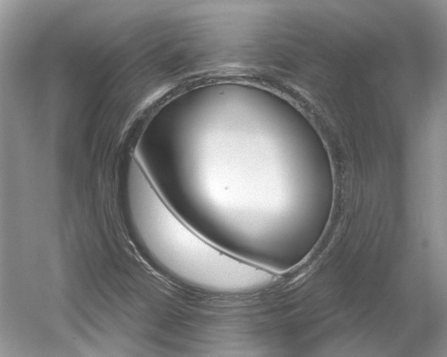 X0000061101402200511180856